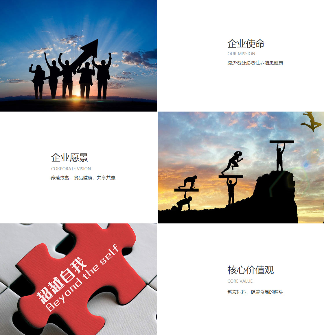 半岛官方端网页版(图1)